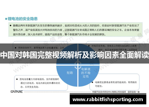 中国对韩国完整视频解析及影响因素全面解读